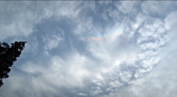 Pilotengat nabij Bennekom met Halo