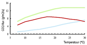 Assimilatie/ temperatuur curve